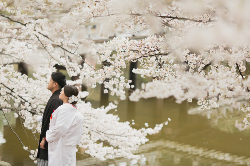 大人 気！！桜ロケーションフォト　予約受付中