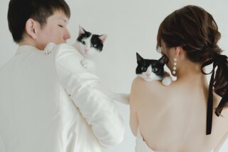 大切な愛猫とのペットスタジオ撮影のご紹介˚✧₊⁎