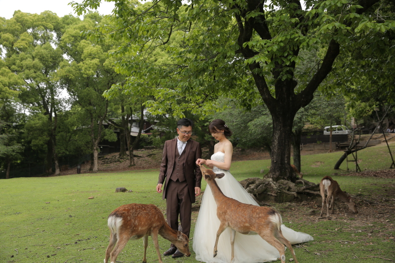 奈良公園+浮見堂!!