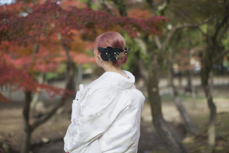 白無垢&times;黒胡蝶蘭