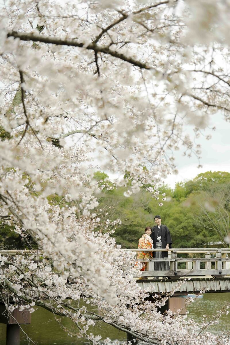 桜ロケーション撮影