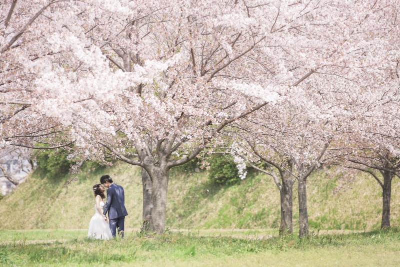 桜ロケーションスポットのご紹介です