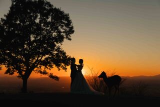 若草山 夕日撮影