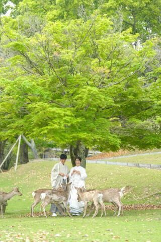 春ロケーション撮影