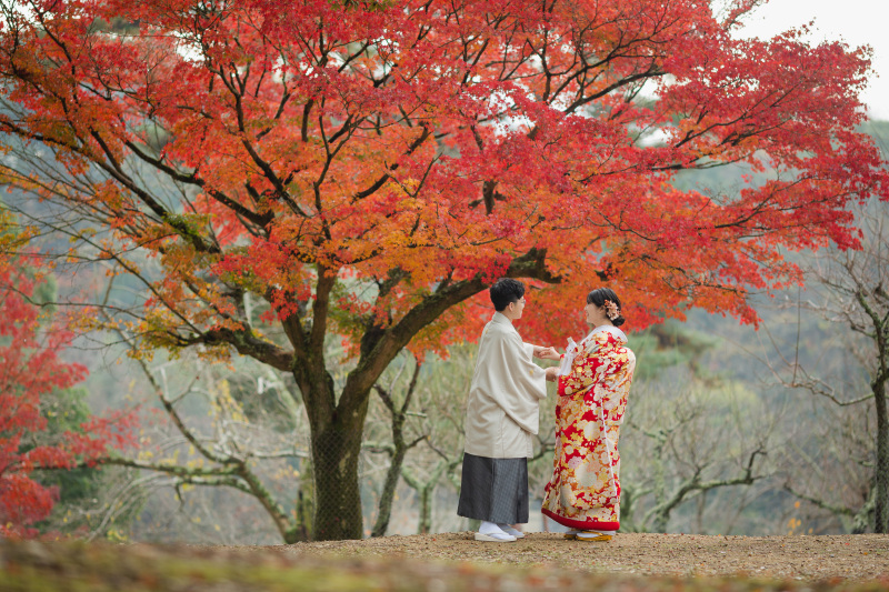 奈良公園　紅葉ロケーション撮影