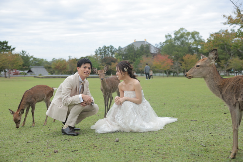 春日野園地で鹿たちと撮影♪