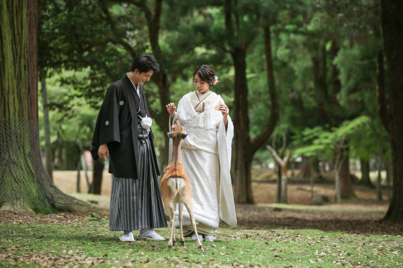 奈良公園和装ロケーション!鹿と一緒に♪