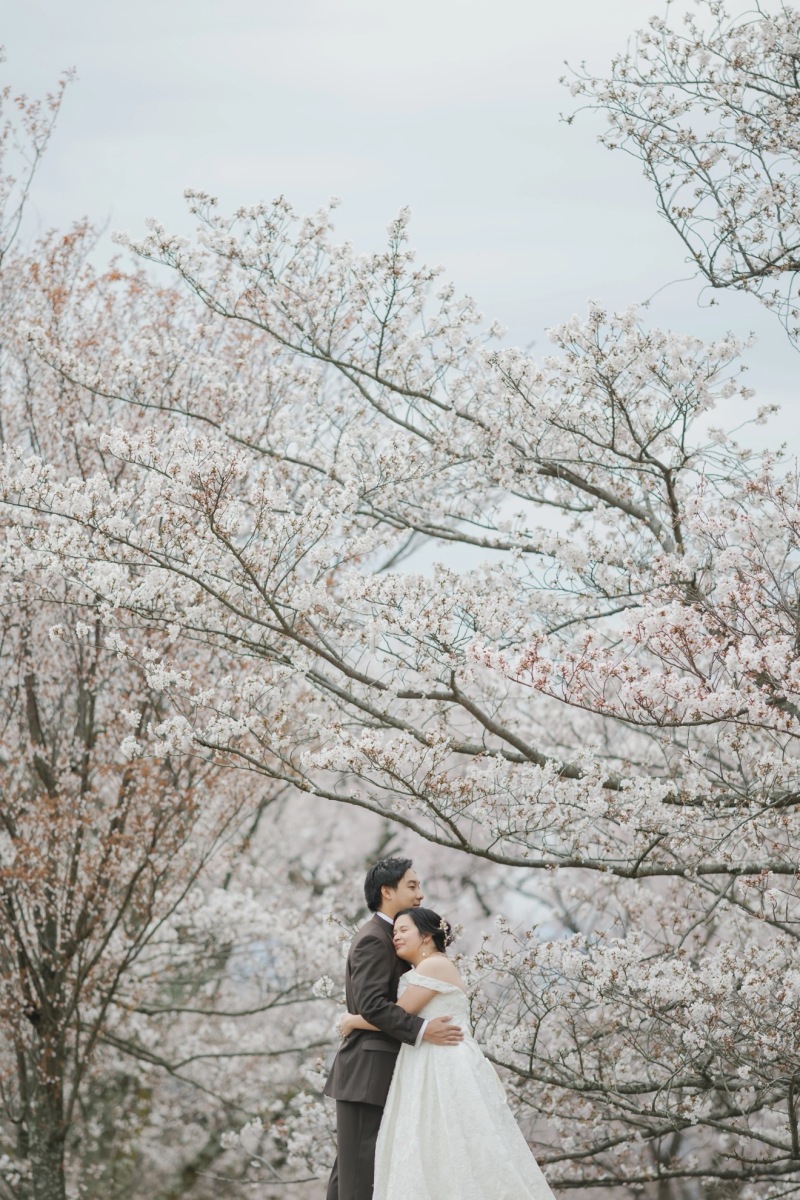 2026年桜ロケーション【人気ロケ地TOP3】