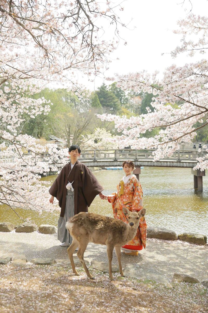 大人 気！！桜ロケーションフォト　予約受付中