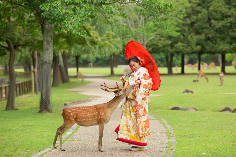 【早期ご予約でシーズン料金OFF】