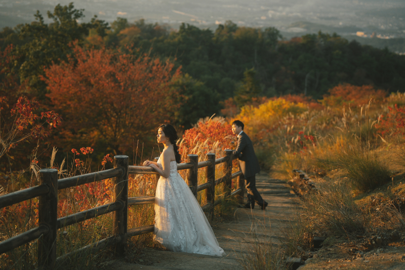 奈良公園　紅葉ロケーション撮影