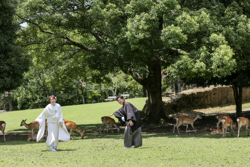 浮御堂＋奈良公園