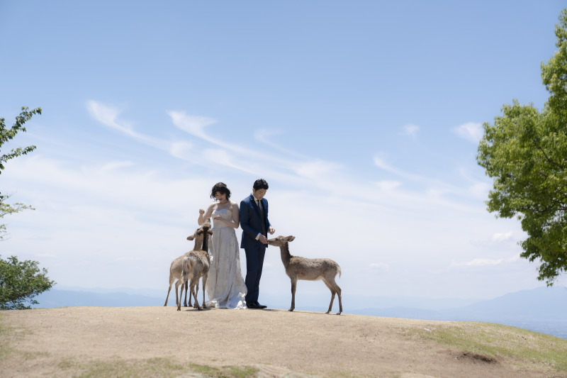 良い天気が続いています♡