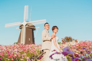 コスモスが魅力！秋の鶴見緑地ロケーション