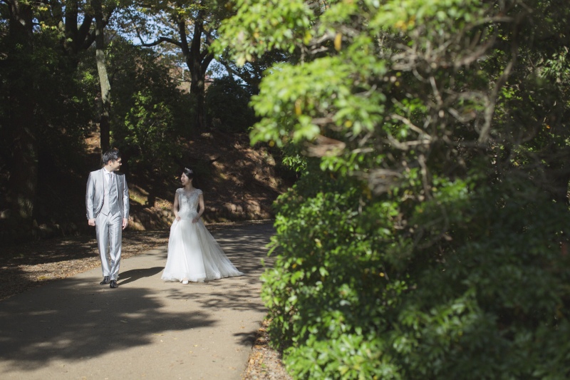緑と赤の若草山