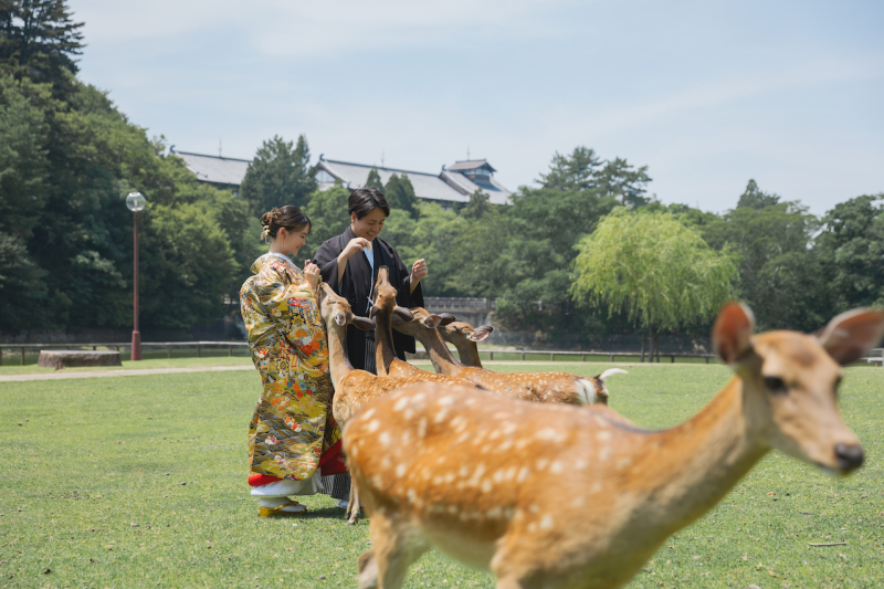 奈良公園 鹿ちゃん撮影!