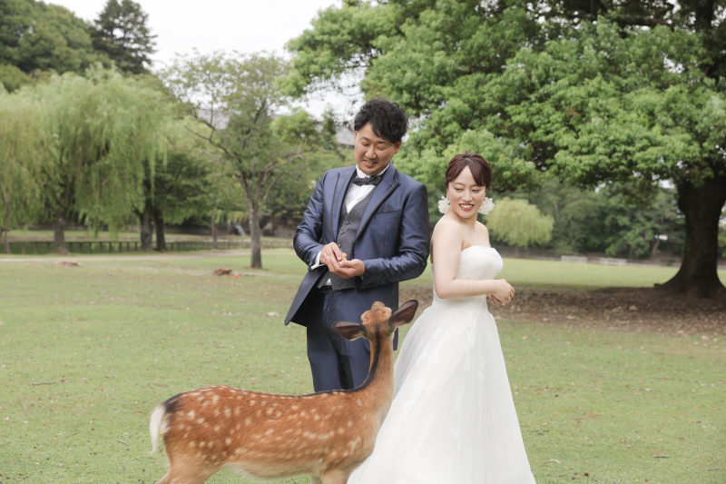 「スタジオと奈良公園で、雰囲気を変えて撮影しました」