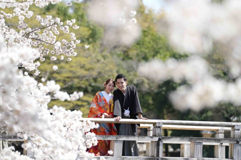 大人 気！！桜ロケーションフォト　予約受付中