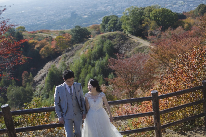 緑と赤の若草山