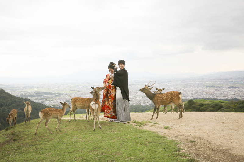 鹿と撮れるロケ地のご紹介♪