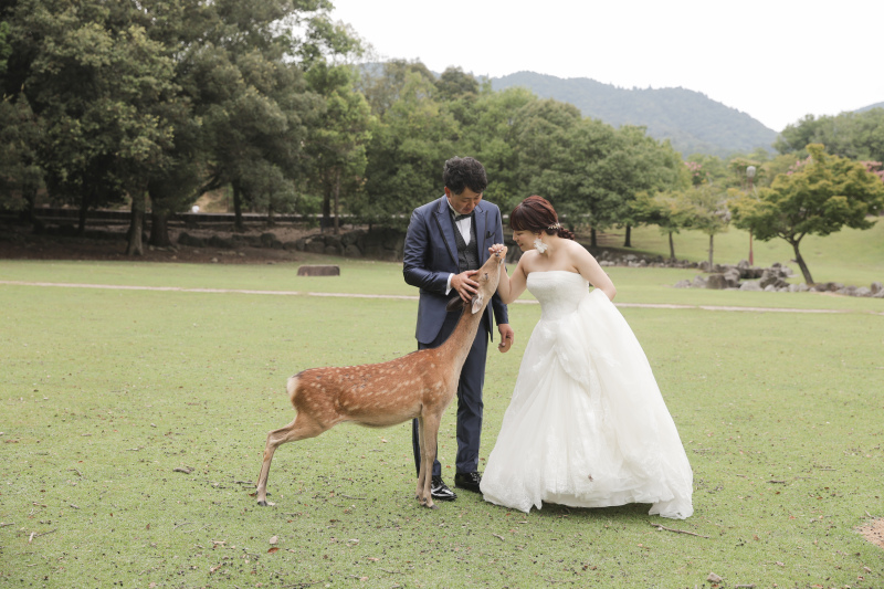 「スタジオと奈良公園で、雰囲気を変えて撮影しました」