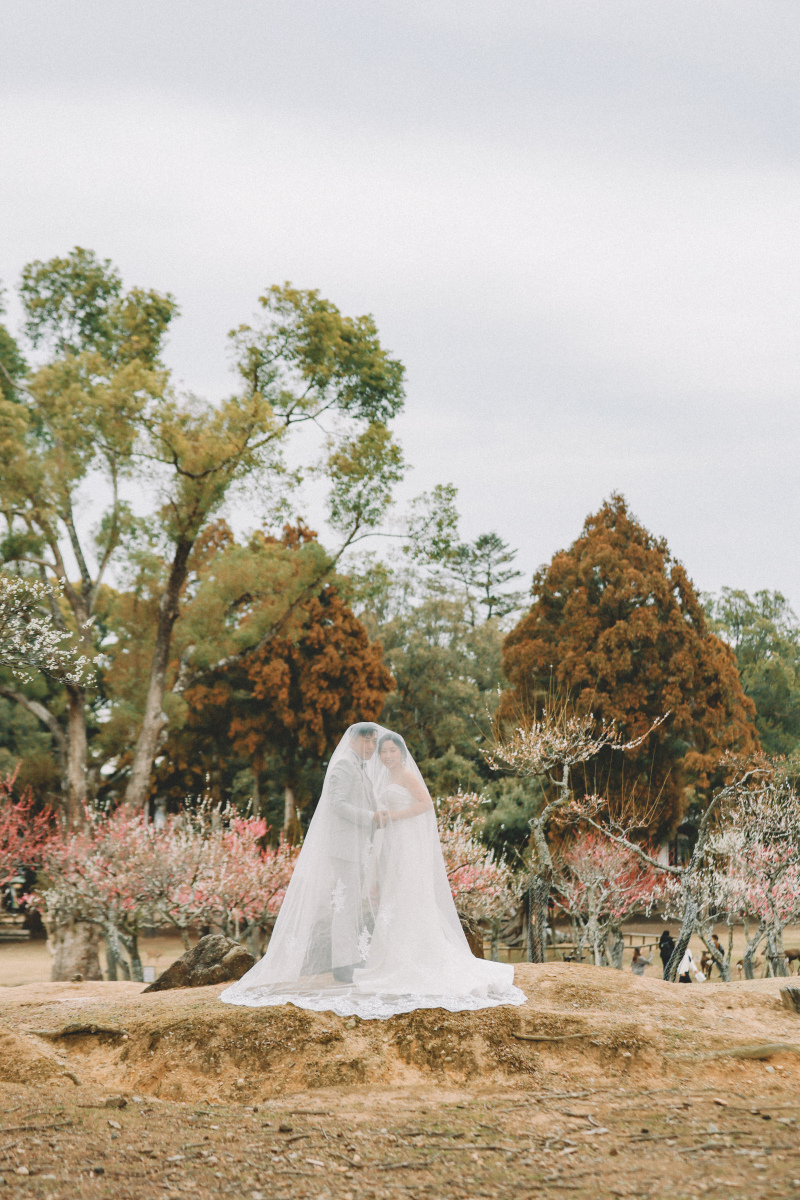 鹿さんたちに囲まれて、ゆるっと前撮りしてきました