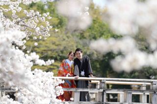 春の桜ロケーション撮影