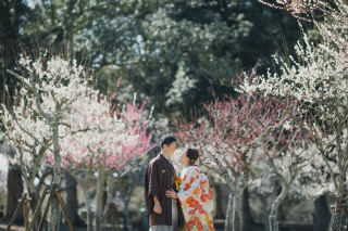 奈良　桜ロケーションおすすめスポット