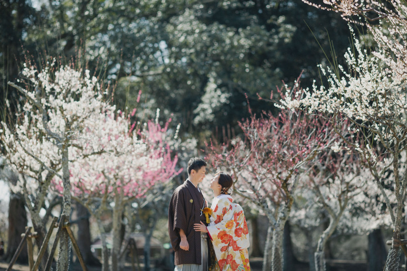 奈良　桜ロケーションおすすめスポット