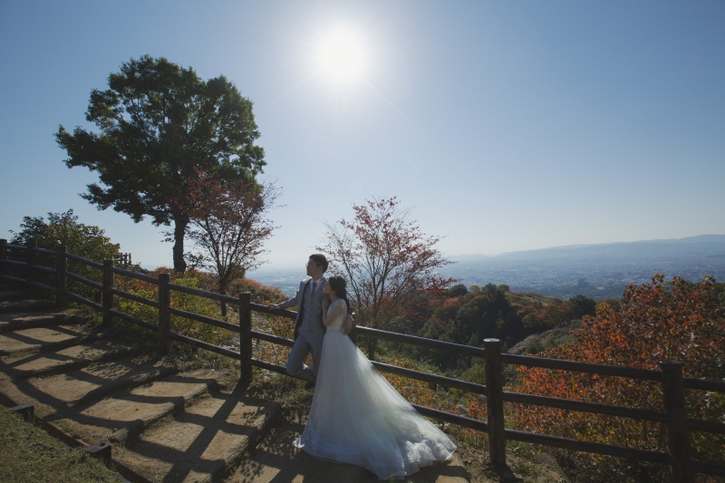 緑と赤の若草山