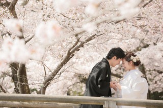 桜ロケーションスポットのご紹介です