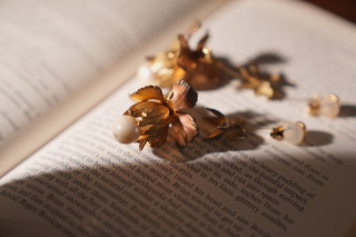 アクセサリーのご紹介❥