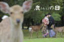 鹿(ろく)の日
