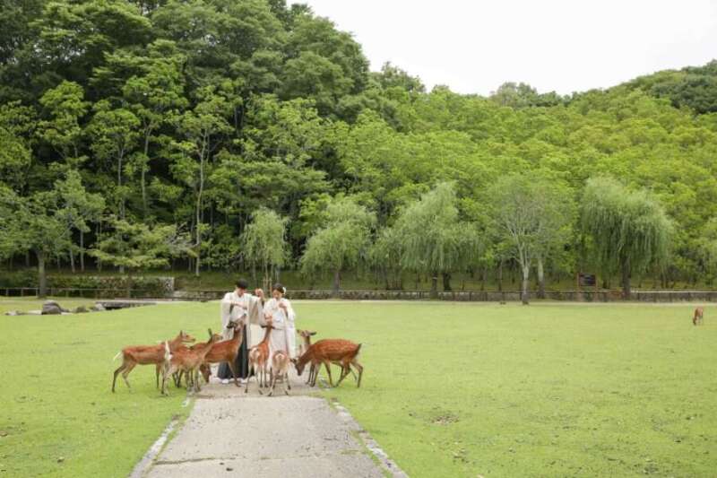 浮見堂&奈良公園ロケーション