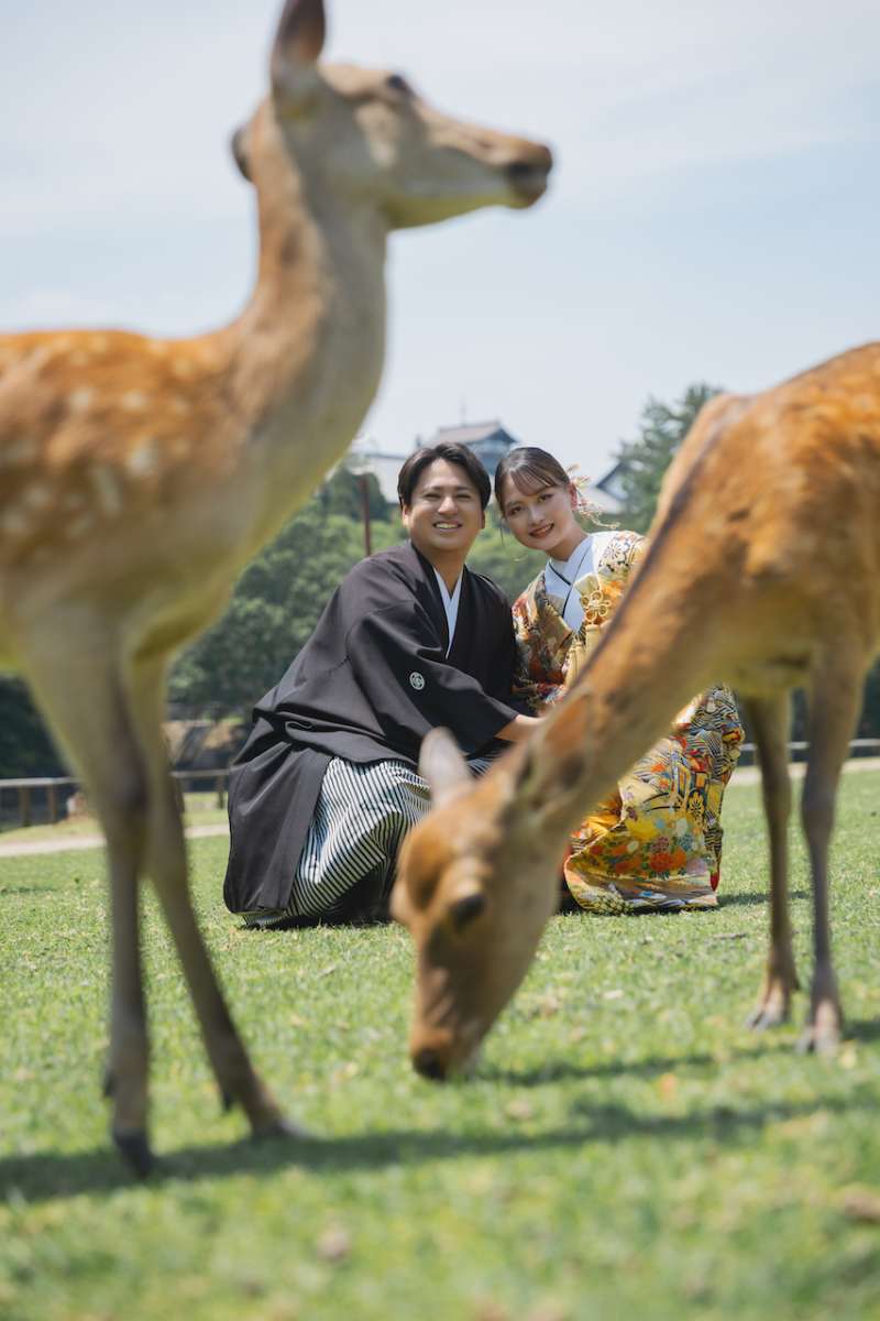 奈良公園 鹿ちゃん撮影!