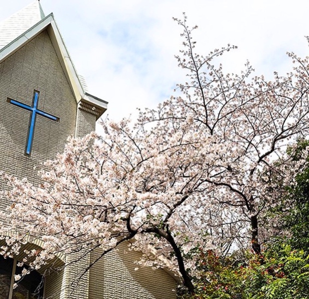 桜&新緑☆4月限定プランが登場!!