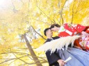 【黄金色に輝く銀杏×色鮮やかな紅葉の秋　10～11月のロケ付フォト婚開始！】