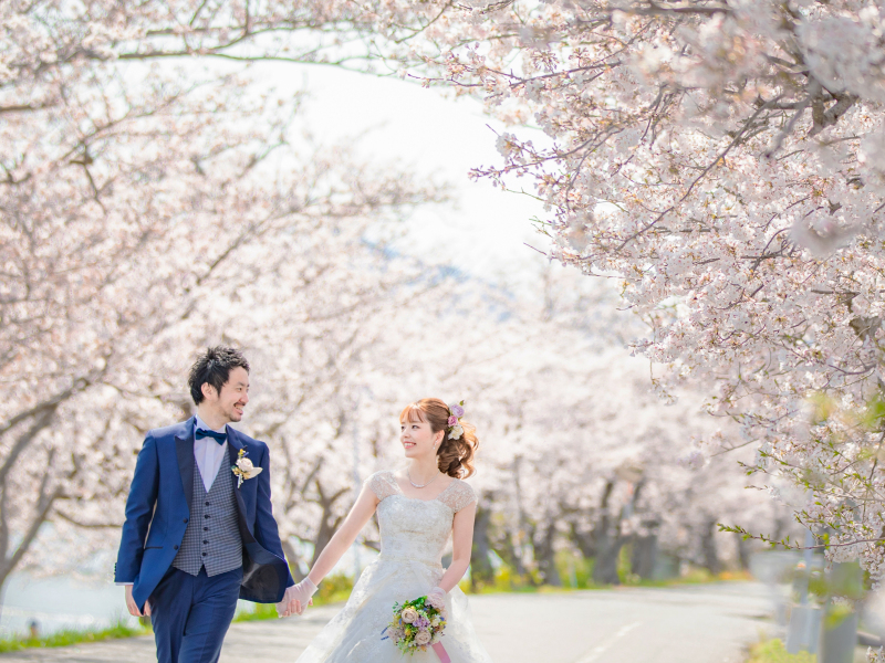 金沢桜開花!!