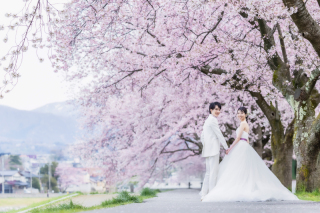 もうすぐ桜シーズン!桜と一緒に撮れるロケーション集