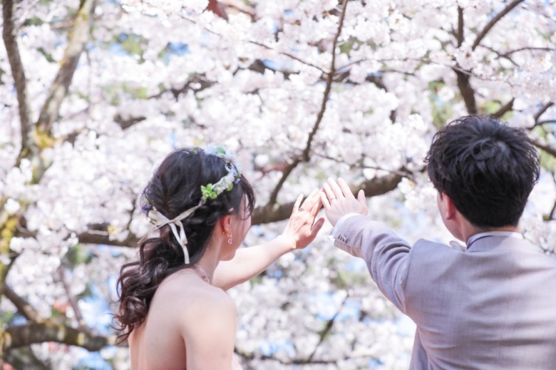 もう始まってます！2025桜フォト予約＊