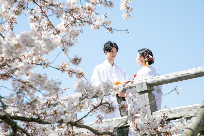 もう始まってます！2025桜フォト予約＊