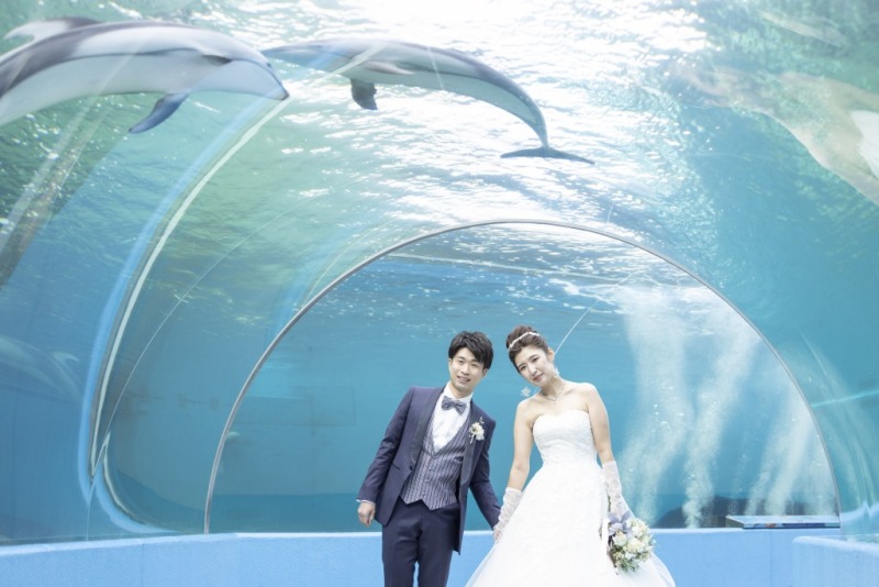 NEWプラン！【のとじま水族館海フォトウェディング～朝限定の特別撮影プラン～】