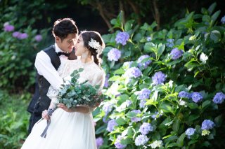 【ロケーションにおすすめ『新緑×あじさい』色彩鮮やかなフォトウェディング♪】