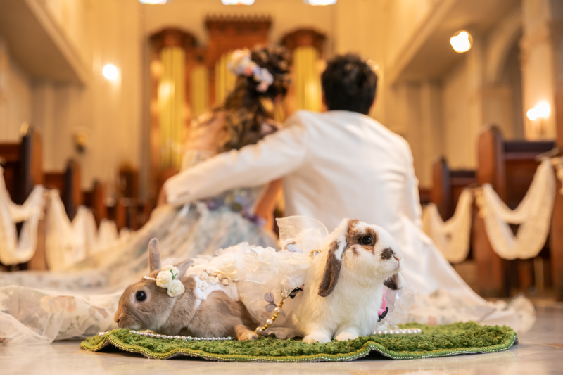 大事なペットも家族の一員です！♡