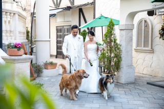 ペットも大事な家族の一員❀