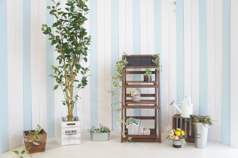 新成人の皆様、おめでとうございます！