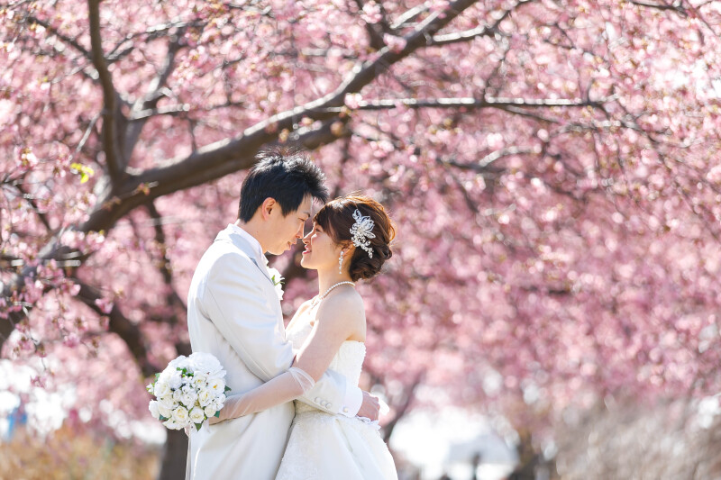  ✿桜&times;フォトウェディング✿