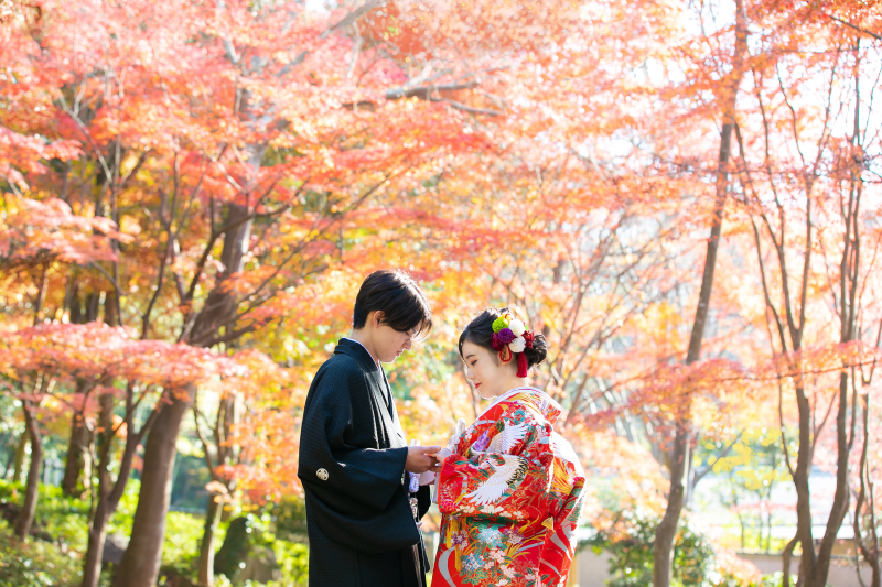 ～紅葉フォト～