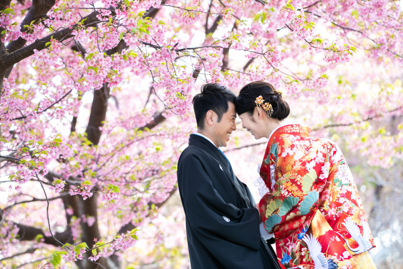≪予約受付中!≫河津桜プラン✿