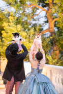 大事なペットもご一緒に✵*.